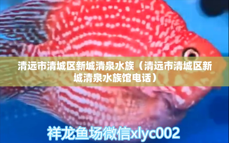 清遠市清城區(qū)新城清泉水族（清遠市清城區(qū)新城清泉水族館電話） 全國水族館企業(yè)名錄