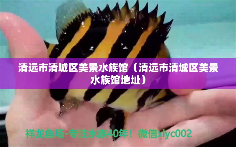 清遠(yuǎn)市清城區(qū)美景水族館（清遠(yuǎn)市清城區(qū)美景水族館地址）