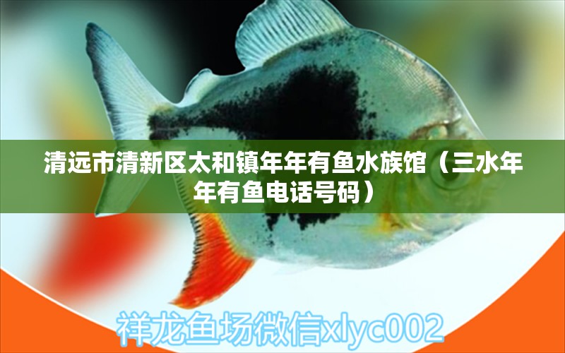 清遠(yuǎn)市清新區(qū)太和鎮(zhèn)年年有魚水族館（三水年年有魚電話號(hào)碼）