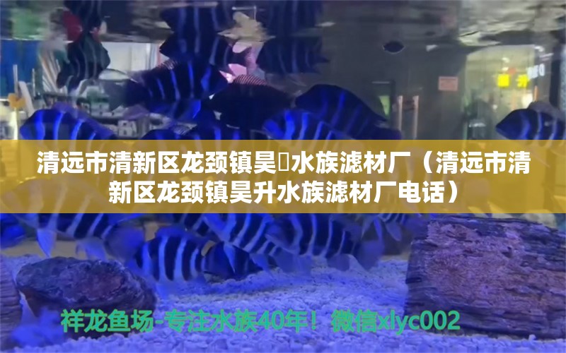 清遠(yuǎn)市清新區(qū)龍頸鎮(zhèn)昊昇水族濾材廠（清遠(yuǎn)市清新區(qū)龍頸鎮(zhèn)昊升水族濾材廠電話）