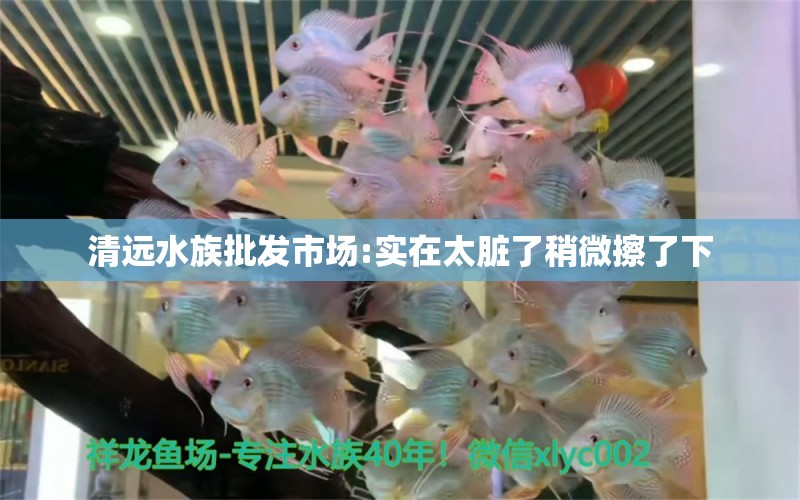 清遠(yuǎn)水族批發(fā)市場:實(shí)在太臟了稍微擦了下 觀賞魚水族批發(fā)市場