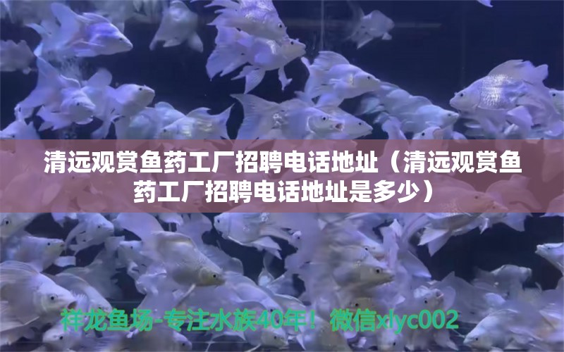 清遠(yuǎn)觀賞魚藥工廠招聘電話地址（清遠(yuǎn)觀賞魚藥工廠招聘電話地址是多少）