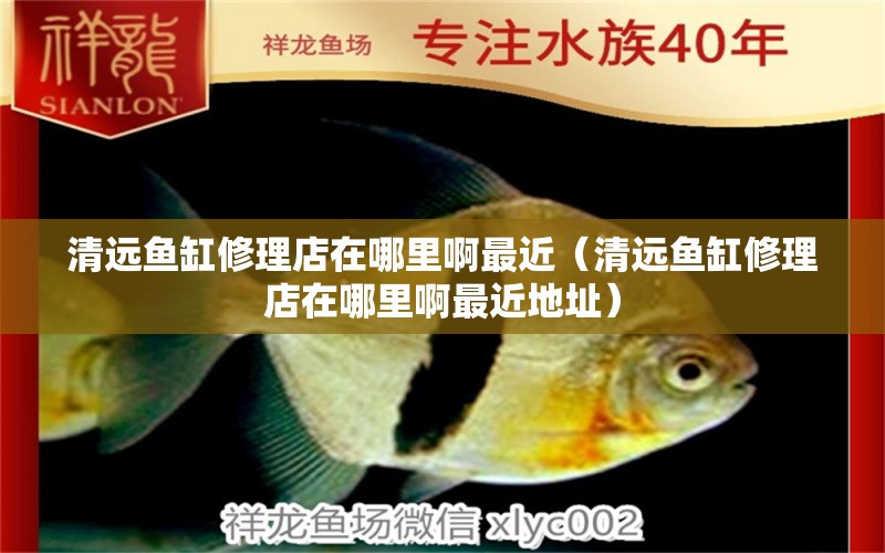 清遠(yuǎn)魚缸修理店在哪里啊最近（清遠(yuǎn)魚缸修理店在哪里啊最近地址） 觀賞魚市場(chǎng)（混養(yǎng)魚）