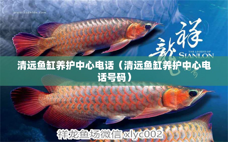 清遠(yuǎn)魚(yú)缸養(yǎng)護(hù)中心電話（清遠(yuǎn)魚(yú)缸養(yǎng)護(hù)中心電話號(hào)碼）