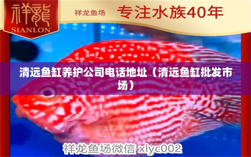 清遠(yuǎn)魚缸養(yǎng)護(hù)公司電話地址（清遠(yuǎn)魚缸批發(fā)市場） 圖騰金龍魚