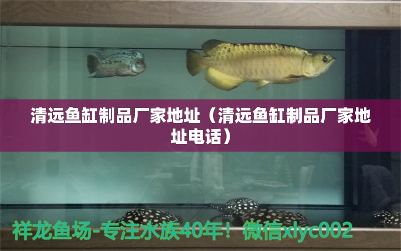 清遠魚缸制品廠家地址（清遠魚缸制品廠家地址電話）