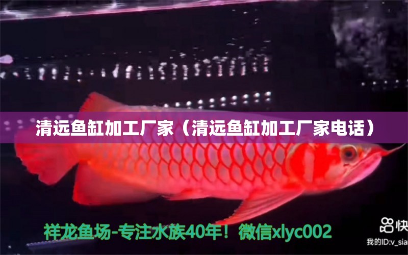 清遠(yuǎn)魚缸加工廠家（清遠(yuǎn)魚缸加工廠家電話）