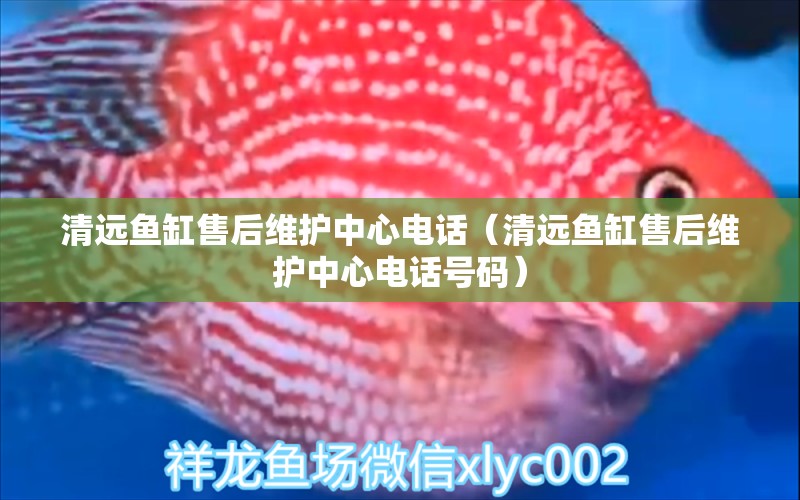 清遠魚缸售后維護中心電話（清遠魚缸售后維護中心電話號碼） 其他品牌魚缸