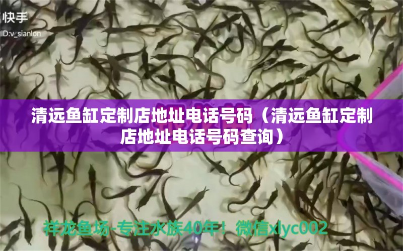 清遠(yuǎn)魚(yú)缸定制店地址電話號(hào)碼（清遠(yuǎn)魚(yú)缸定制店地址電話號(hào)碼查詢）