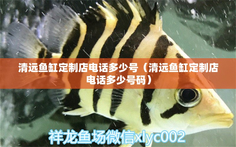 清遠(yuǎn)魚(yú)缸定制店電話多少號(hào)（清遠(yuǎn)魚(yú)缸定制店電話多少號(hào)碼）