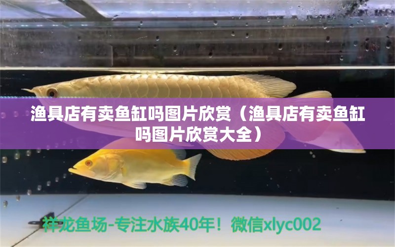 漁具店有賣魚缸嗎圖片欣賞（漁具店有賣魚缸嗎圖片欣賞大全） 其他品牌魚缸