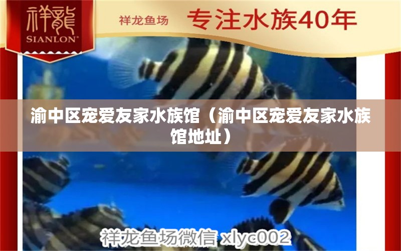 渝中區(qū)寵愛友家水族館（渝中區(qū)寵愛友家水族館地址）