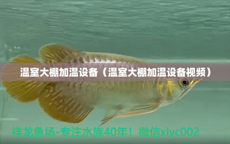 溫室大棚加溫設(shè)備（溫室大棚加溫設(shè)備視頻） 觀賞魚水族批發(fā)市場