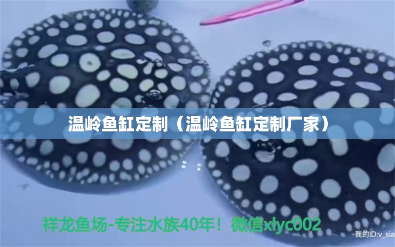 溫嶺魚缸定制（溫嶺魚缸定制廠家） 其他品牌魚缸