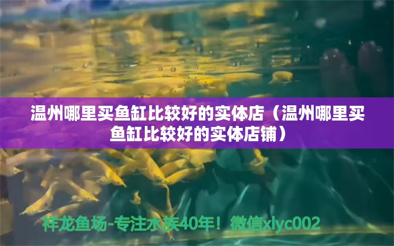 溫州哪里買魚缸比較好的實體店（溫州哪里買魚缸比較好的實體店鋪）