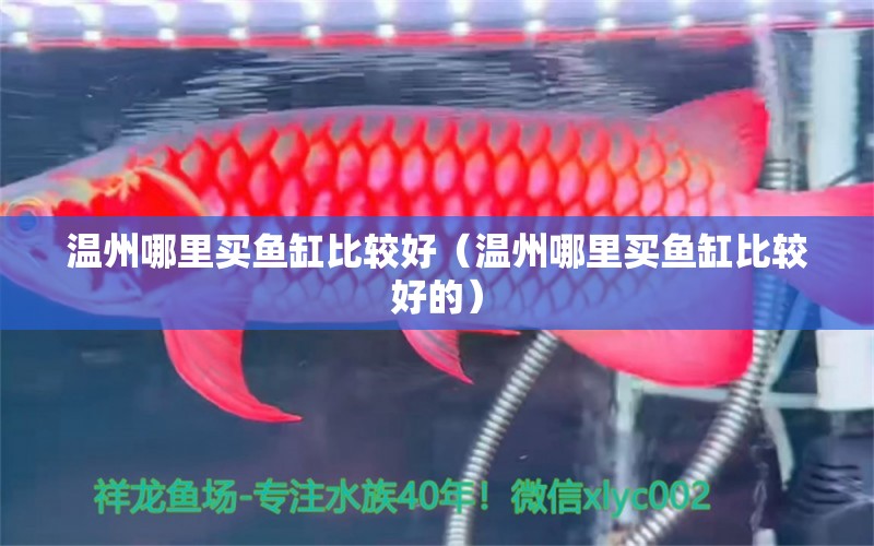 溫州哪里買魚缸比較好（溫州哪里買魚缸比較好的）