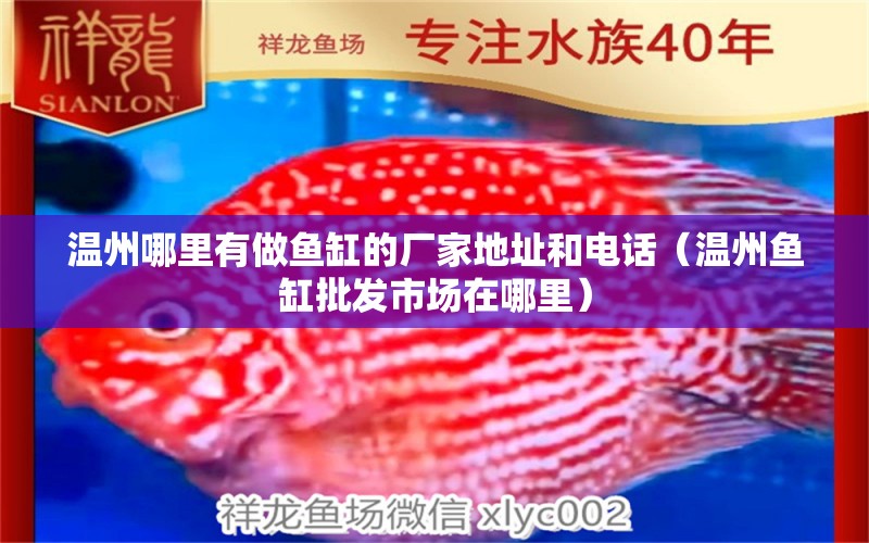 溫州哪里有做魚缸的廠家地址和電話（溫州魚缸批發(fā)市場(chǎng)在哪里）