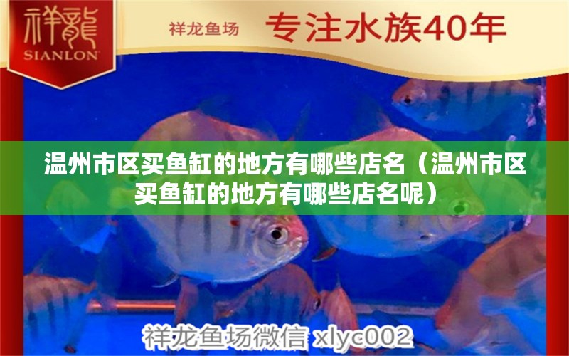 溫州市區(qū)買魚缸的地方有哪些店名（溫州市區(qū)買魚缸的地方有哪些店名呢）