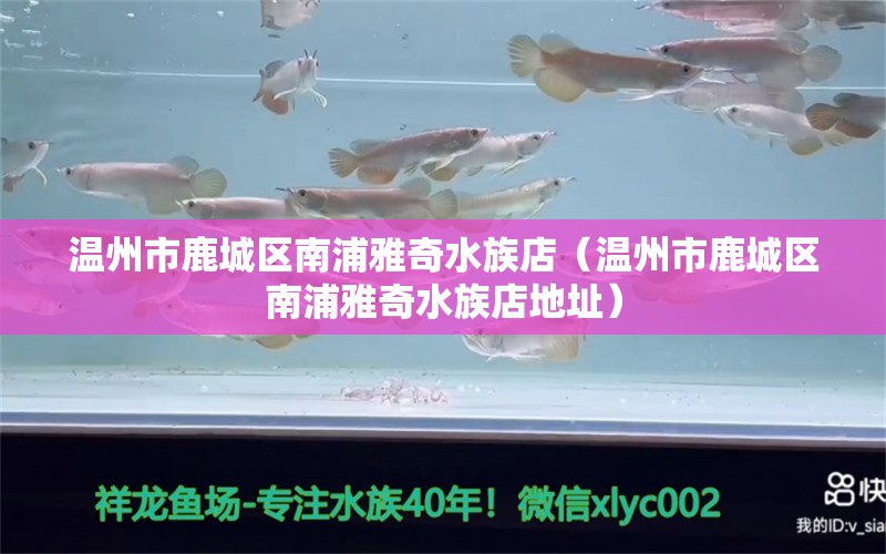 溫州市鹿城區(qū)南浦雅奇水族店（溫州市鹿城區(qū)南浦雅奇水族店地址）