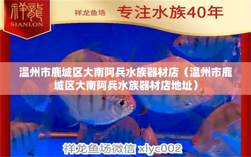 溫州市鹿城區(qū)大南阿兵水族器材店（溫州市鹿城區(qū)大南阿兵水族器材店地址）