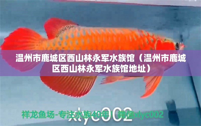 溫州市鹿城區(qū)西山林永軍水族館（溫州市鹿城區(qū)西山林永軍水族館地址） 全國水族館企業(yè)名錄