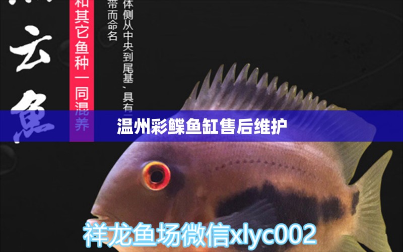 溫州彩鰈魚(yú)缸售后維護(hù) 彩鰈魚(yú)缸（彩蝶魚(yú)缸）