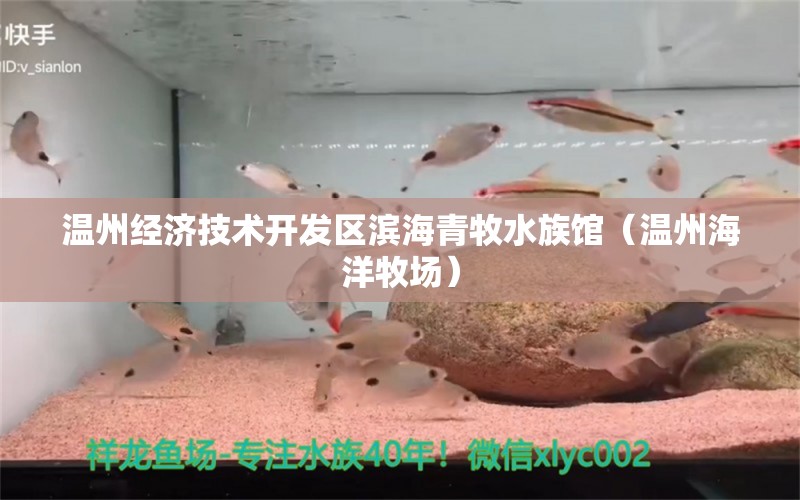 溫州經(jīng)濟(jì)技術(shù)開(kāi)發(fā)區(qū)濱海青牧水族館（溫州海洋牧場(chǎng)）