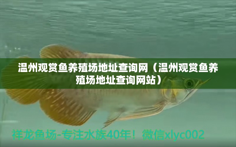 溫州觀賞魚養(yǎng)殖場地址查詢網(wǎng)（溫州觀賞魚養(yǎng)殖場地址查詢網(wǎng)站）