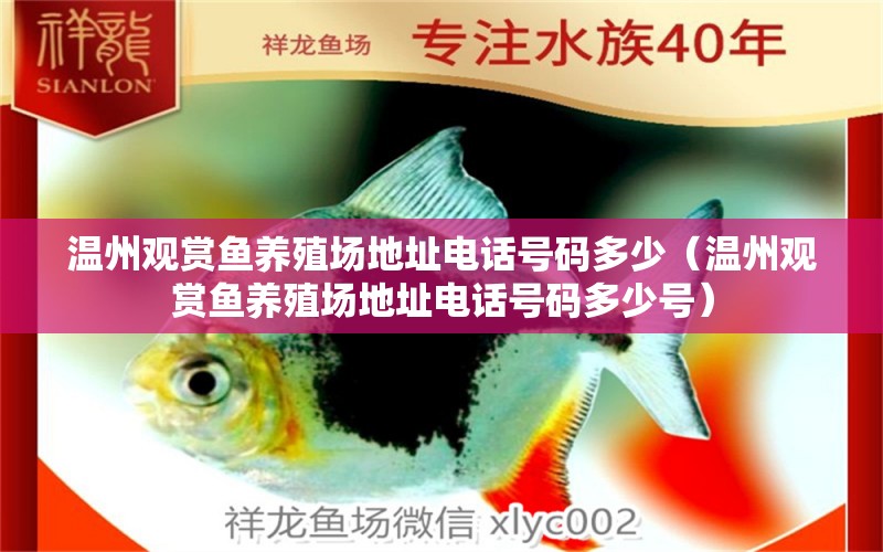 溫州觀賞魚養(yǎng)殖場地址電話號碼多少（溫州觀賞魚養(yǎng)殖場地址電話號碼多少號） 魚缸/水族箱