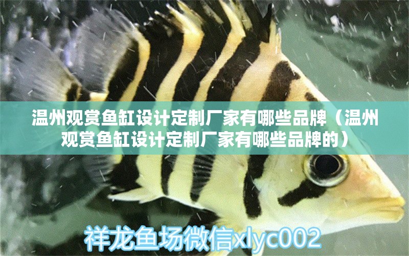 溫州觀賞魚缸設(shè)計定制廠家有哪些品牌（溫州觀賞魚缸設(shè)計定制廠家有哪些品牌的） 巴卡雷龍魚