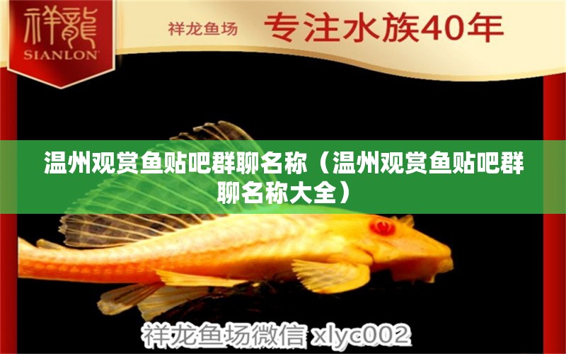 溫州觀賞魚(yú)貼吧群聊名稱（溫州觀賞魚(yú)貼吧群聊名稱大全） 廣州觀賞魚(yú)批發(fā)市場(chǎng)