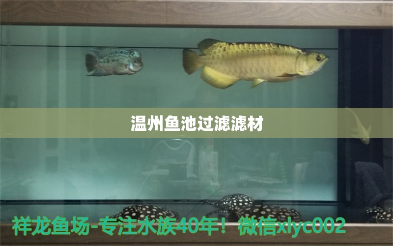 溫州魚池過濾濾材 廣州水族器材濾材批發(fā)市場