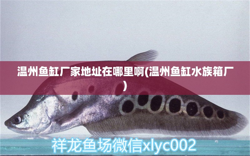 溫州魚缸廠家地址在哪里啊(溫州魚缸水族箱廠) 魚缸/水族箱