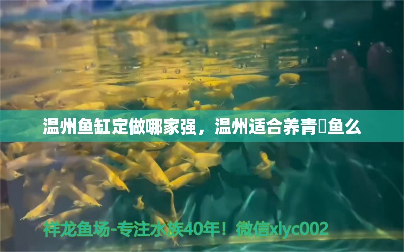 溫州魚缸定做哪家強(qiáng)，溫州適合養(yǎng)青鳉魚么