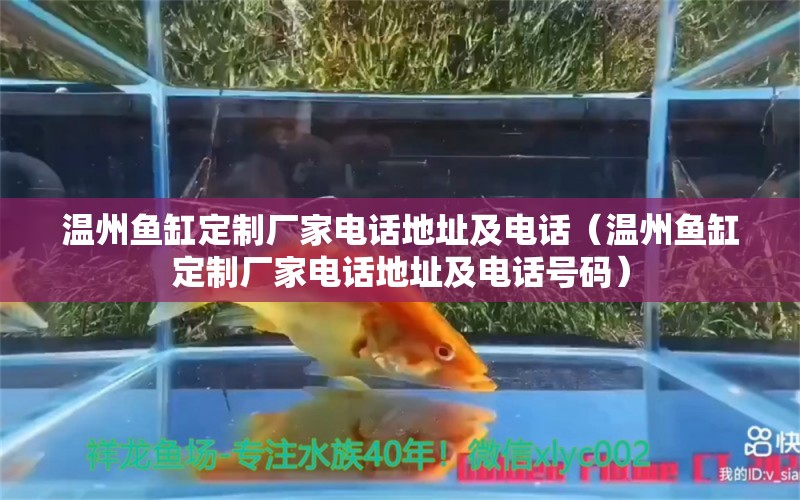 溫州魚缸定制廠家電話地址及電話（溫州魚缸定制廠家電話地址及電話號碼）