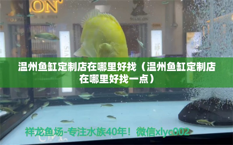 溫州魚缸定制店在哪里好找（溫州魚缸定制店在哪里好找一點）