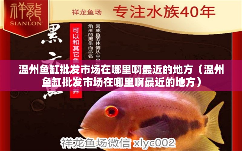 溫州魚缸批發(fā)市場在哪里啊最近的地方（溫州魚缸批發(fā)市場在哪里啊最近的地方） 金頭過背金龍魚