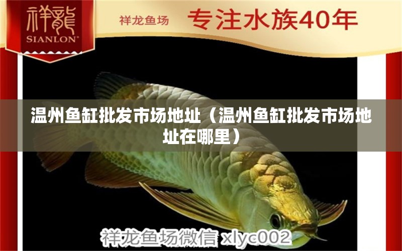 溫州魚缸批發(fā)市場地址（溫州魚缸批發(fā)市場地址在哪里） 其他品牌魚缸