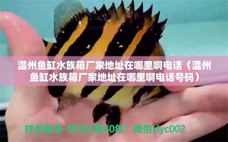 溫州魚缸水族箱廠家地址在哪里啊電話（溫州魚缸水族箱廠家地址在哪里啊電話號碼） 魚缸/水族箱