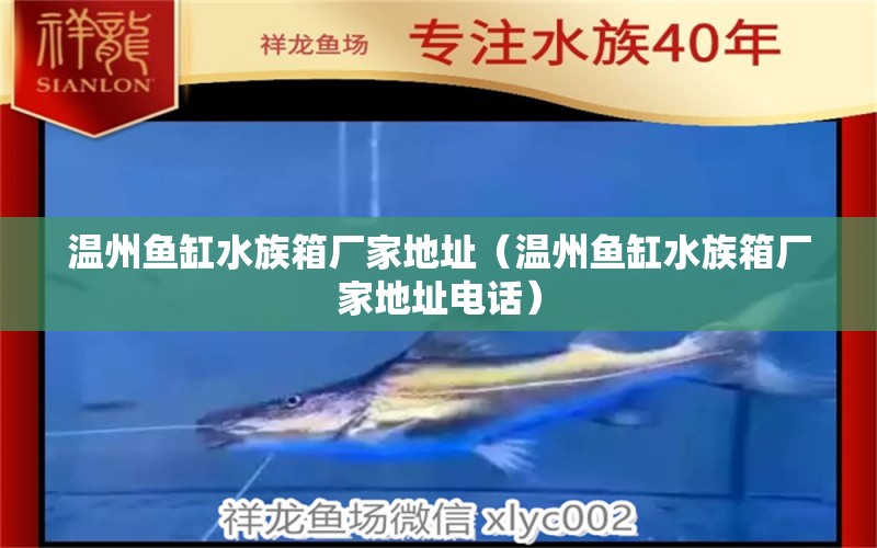 溫州魚缸水族箱廠家地址（溫州魚缸水族箱廠家地址電話）