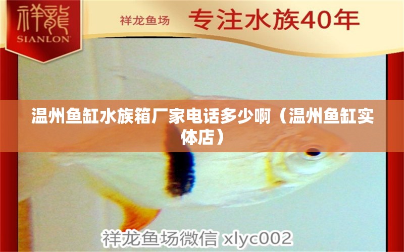 溫州魚缸水族箱廠家電話多少?。刂蒴~缸實體店） 檸檬鯽