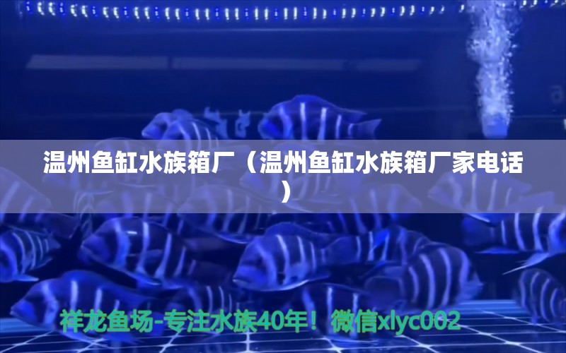 溫州魚缸水族箱廠（溫州魚缸水族箱廠家電話）