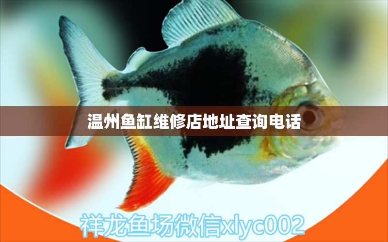 溫州魚缸維修店地址查詢電話