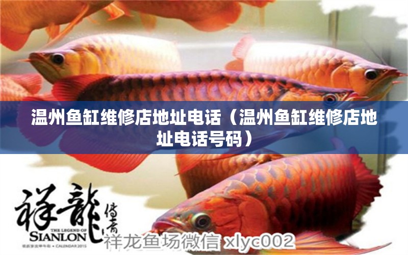 溫州魚(yú)缸維修店地址電話（溫州魚(yú)缸維修店地址電話號(hào)碼） 肺魚(yú)