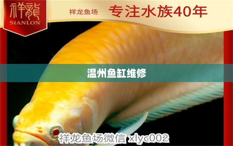 溫州魚缸維修 其他品牌魚缸