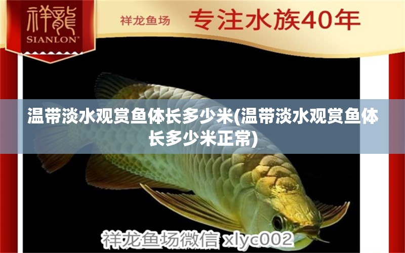 溫帶淡水觀賞魚體長多少米(溫帶淡水觀賞魚體長多少米正常) 斑馬鴨嘴魚