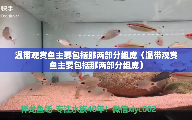 溫帶觀賞魚主要包括那兩部分組成（溫帶觀賞魚主要包括那兩部分組成）