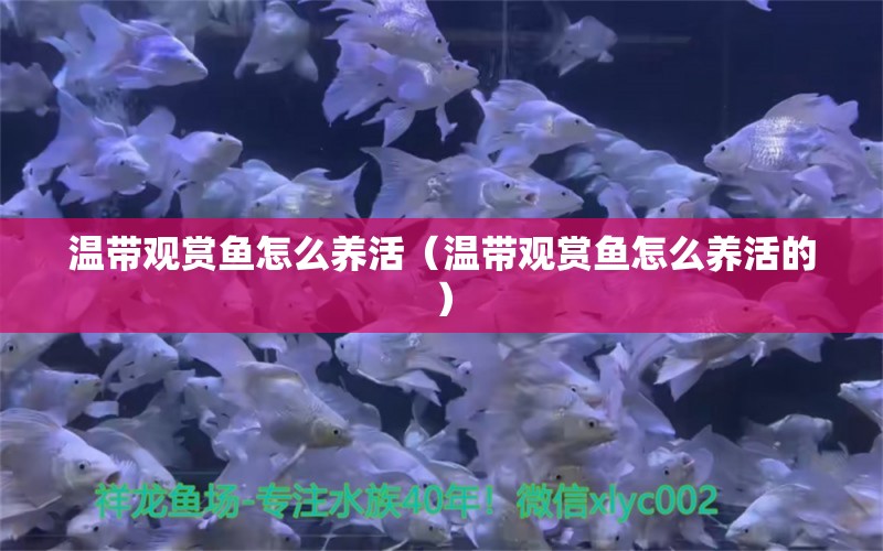 溫帶觀賞魚(yú)怎么養(yǎng)活（溫帶觀賞魚(yú)怎么養(yǎng)活的）