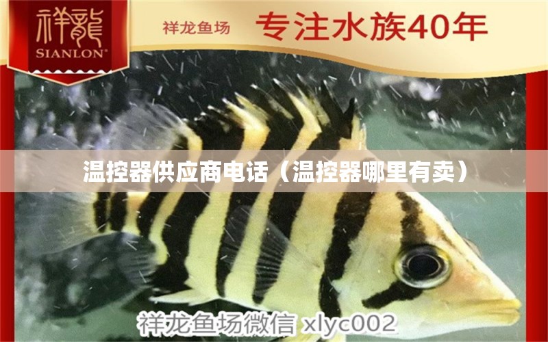 溫控器供應商電話（溫控器哪里有賣） 三間鼠魚苗 第1張