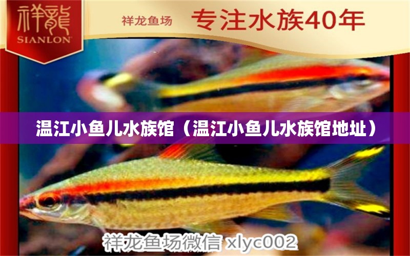 溫江小魚兒水族館（溫江小魚兒水族館地址） 全國水族館企業(yè)名錄